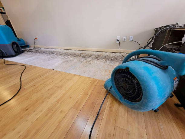 Professional Water Damage Repair technician working in Stratford, CT